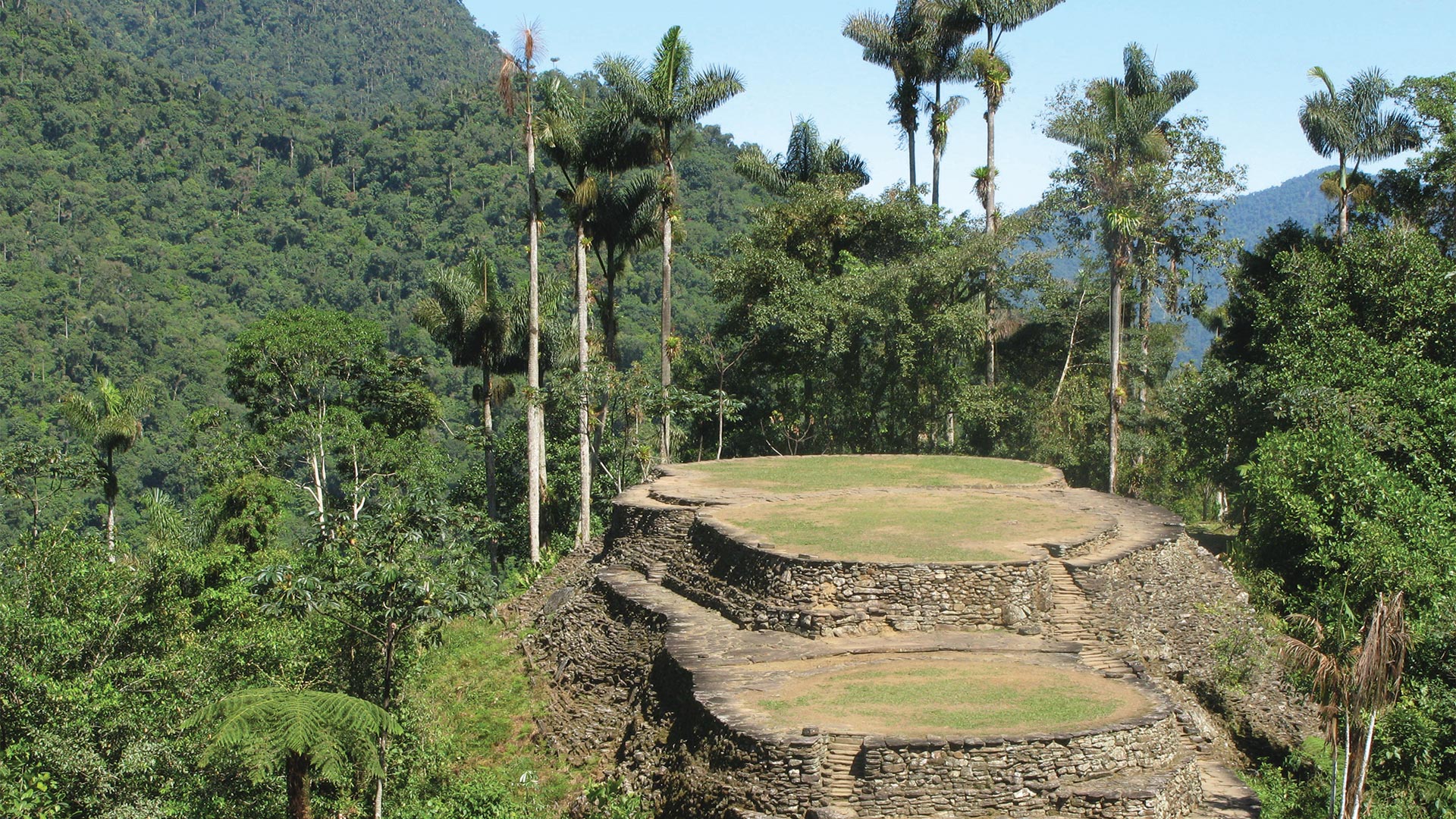 Colombia: top of the class