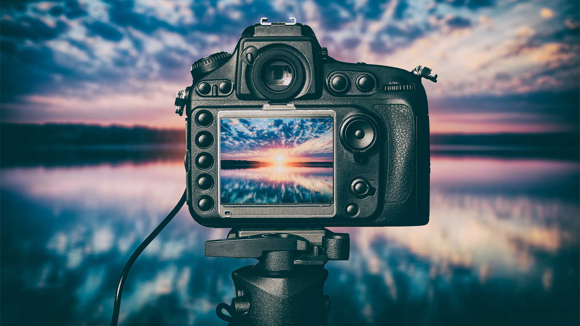 What is a purposeful company and how can treasury get involved?