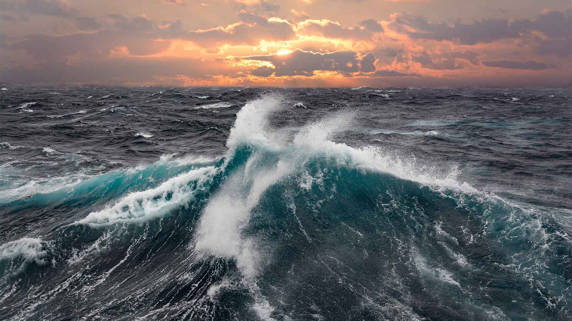 Carnival’s cash and liquidity crisis: in the eye of the storm