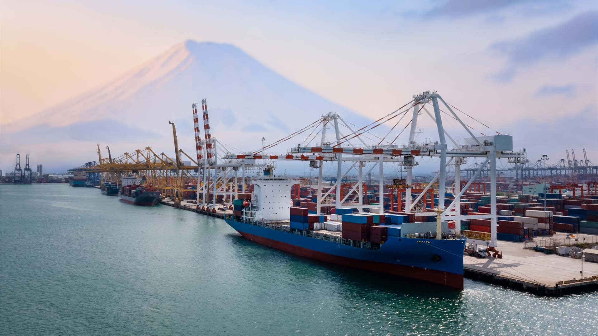 The future of supply chain finance