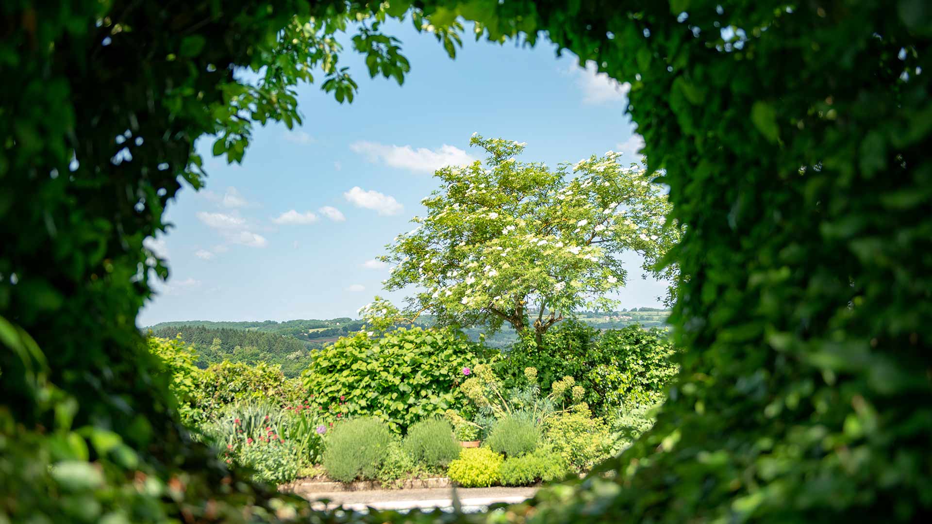 Don’t be afraid to look through the hedge