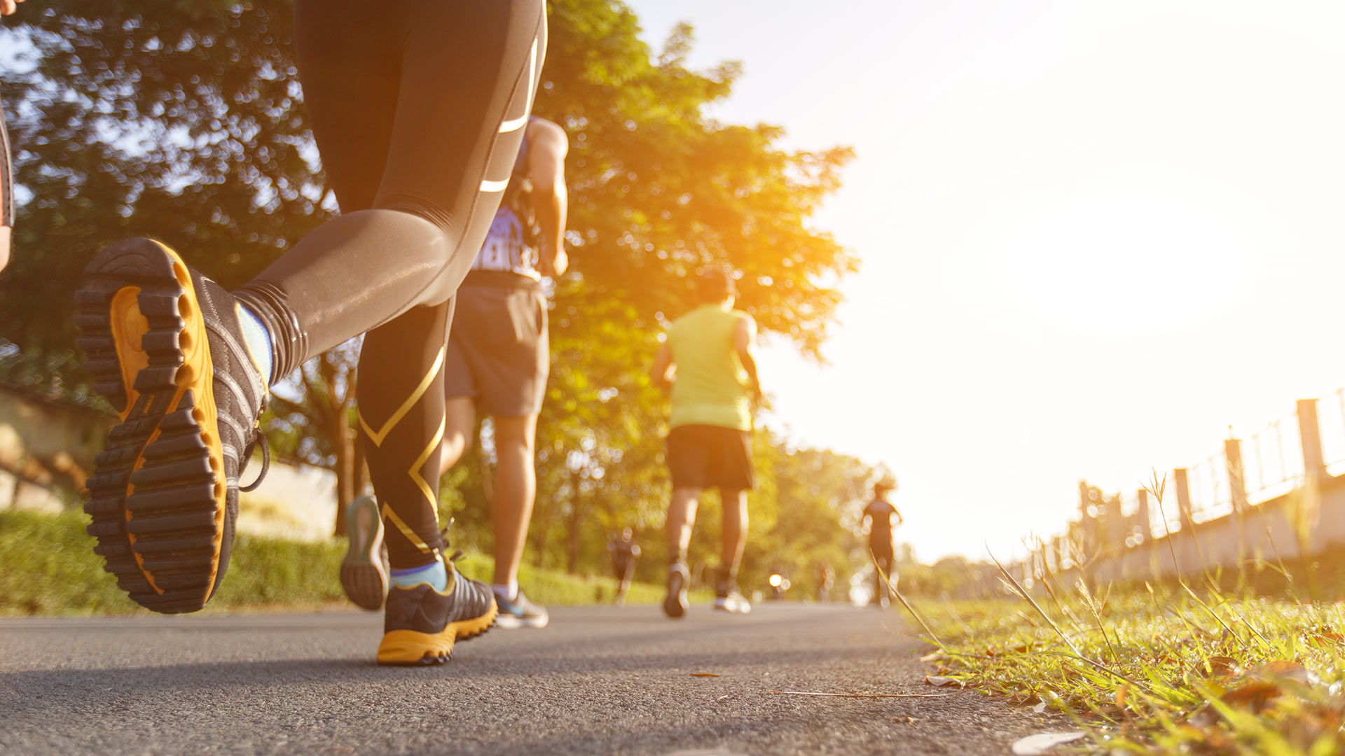 First steps to digitisation