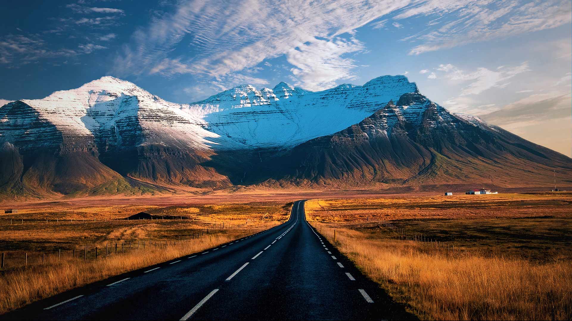 En route to the self-driving treasury