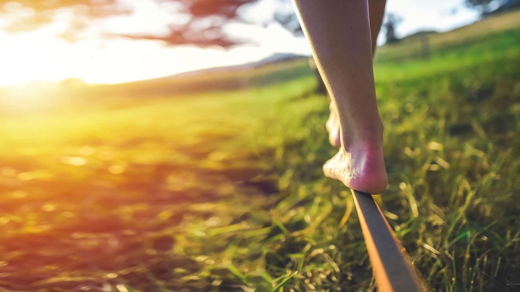 Walking the regulatory tightrope